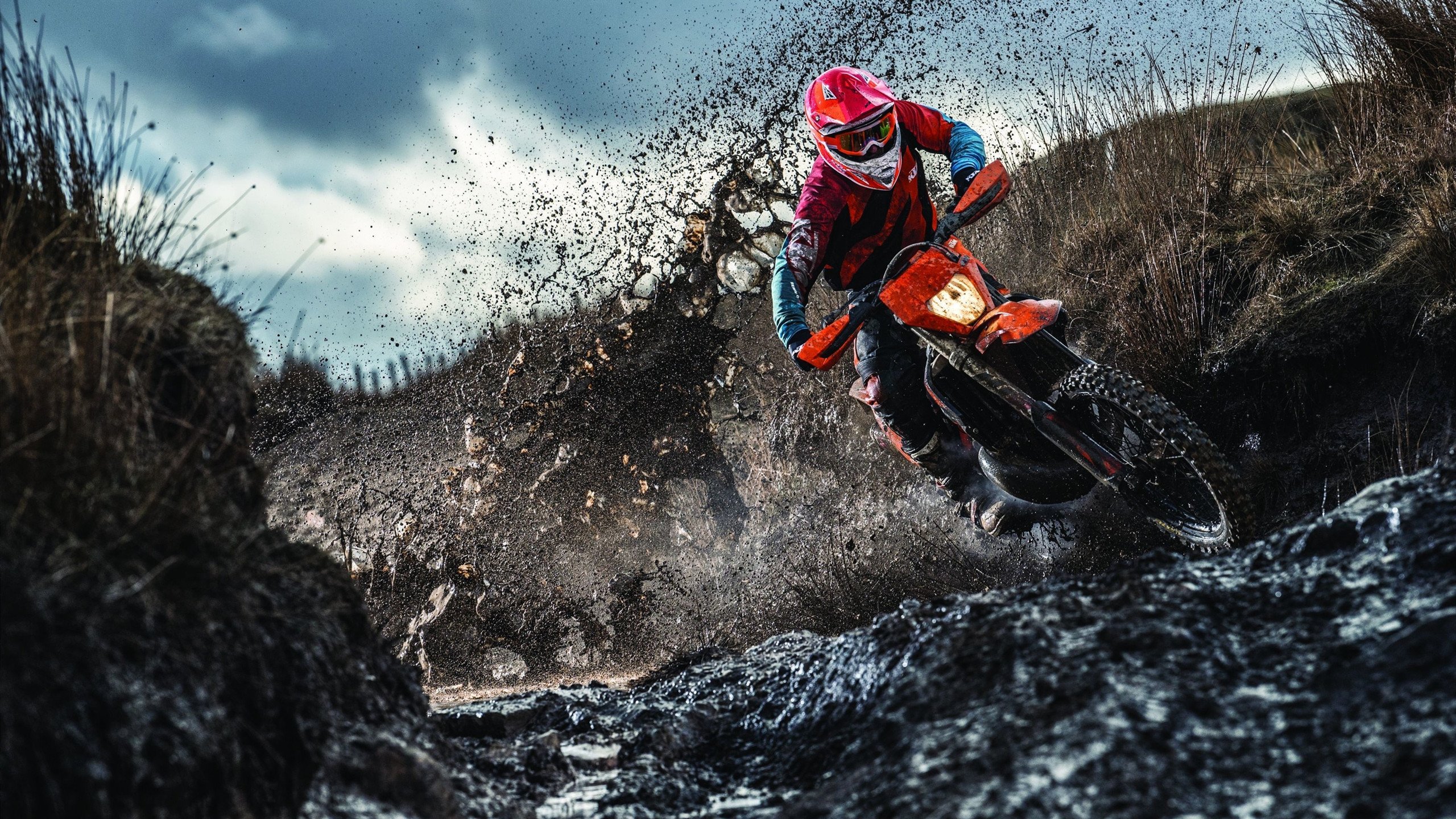 “龙队突围：爆发式逆境翻盘超出预料”，龙队照片